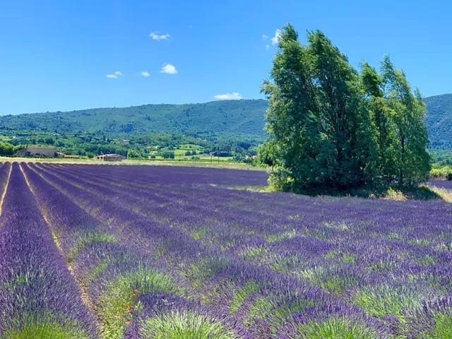 Appartamento Bastide Du Buou Puyvert Esterno foto