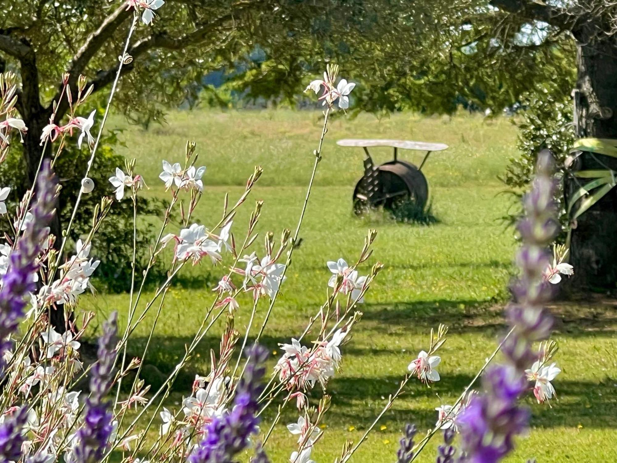 Appartamento Bastide Du Buou Puyvert Esterno foto