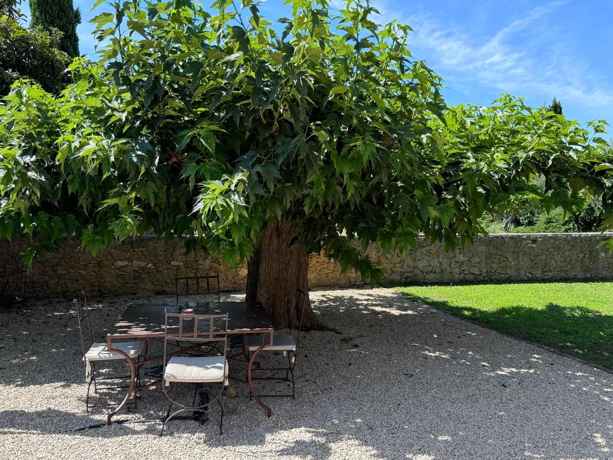 Appartamento Bastide Du Buou Puyvert Camera foto